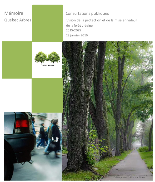 memoire-vision-de-l-arbre-Vision-de-la-protection-et-de-la-mise-en-valeur-de-la-foret-urbaine