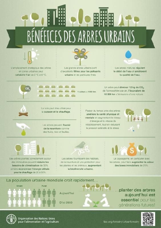 bénéfices des arbres urbains